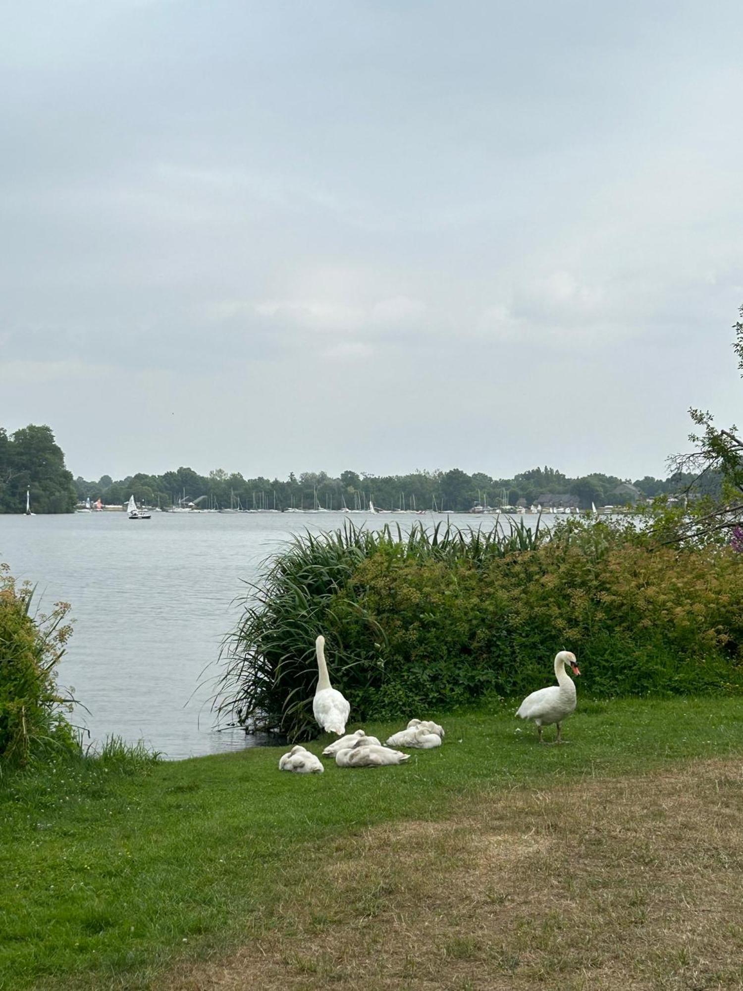 Logement Climatisé Erdre Rivière La Chapelle-Sur-Erdre Esterno foto